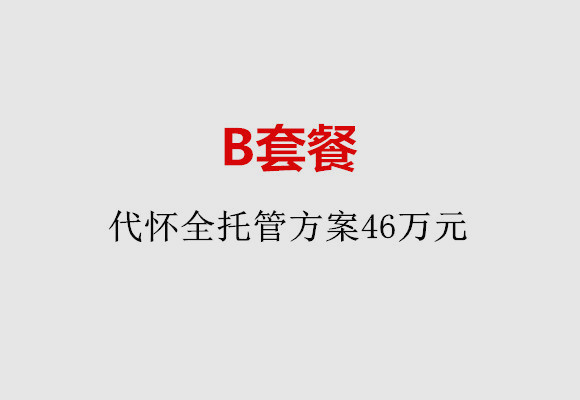 上海B套餐：代怀全托管方案46万元